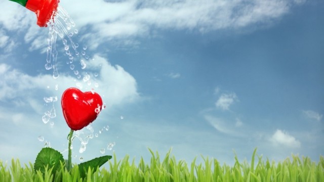 LOve-Post-1